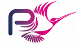 Praxis High Integrity Systems, Ltd.